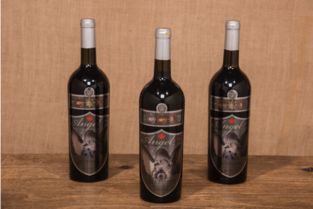 天使藍莓,在歲月里沉淀愛意