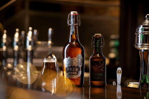 一路向上 青啤升值 品牌價(jià)值1792.85億元