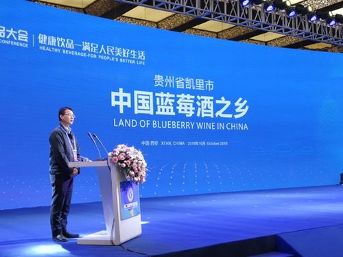 第2屆世界飲品大會(huì)閉幕 中國藍(lán)莓酒之鄉(xiāng) 中國柿酒之鄉(xiāng) 授牌
