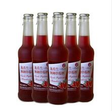 青島瑪麗龍舌蘭與藍莓酒 批發價格、廠家及市場概況